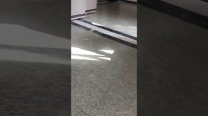 Самшитовая роща,Абхазия, обзор завтрака июль 21 шведский стол