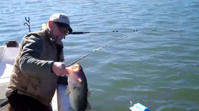 Fishing with Levi 12-29-2011 смотреть онлайн