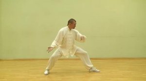 Taiji Chen Romanov R   ч 1- Комментарии к движениям первого комплекса