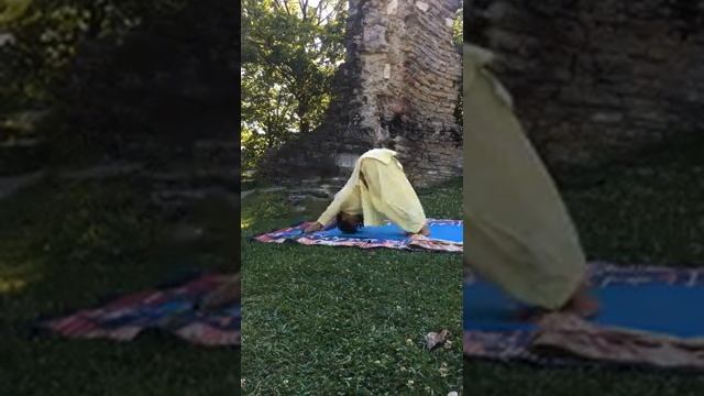 День Солнца Воскресенье. Йога с Виной Ачария