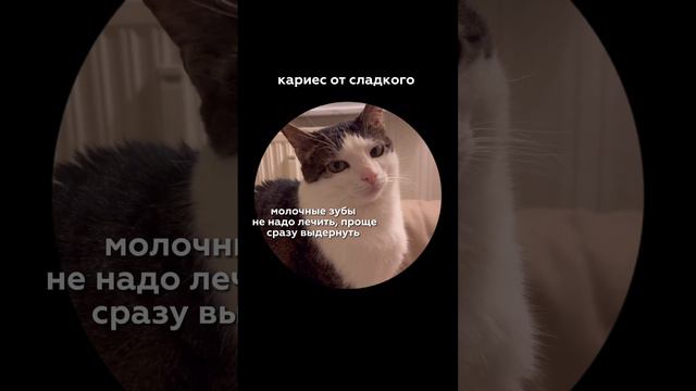 Мифы в стоматологии  #стоматология #лечениекариеса