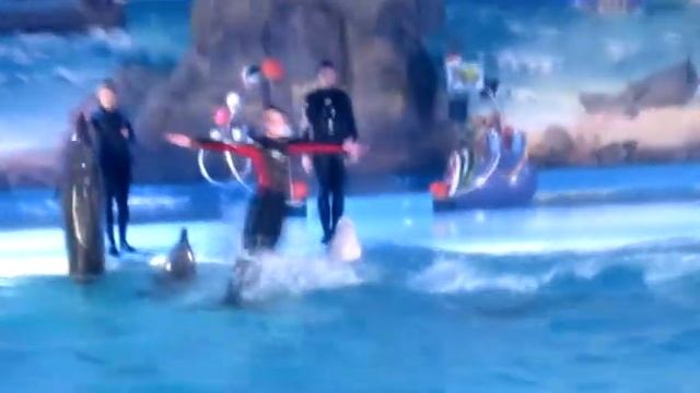 Харьковский дельфинарий НЕМО смотреть онлайн