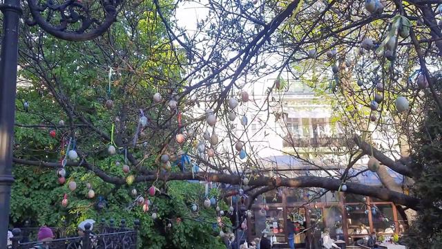 #Easter tree in Odessa# Пасхальное дерево в Одесском Горсаду/Май 2021/ Easter tree in Odessa.