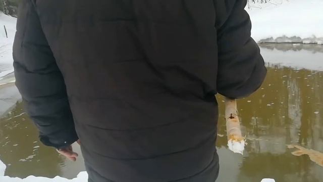 РОБИНЗОНИМ НА ТАЕЖНОЙ РЕКЕ смотреть онлайн