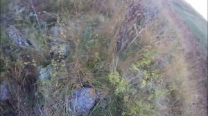 Ловим форель в горных реках Осетии. ч 2.