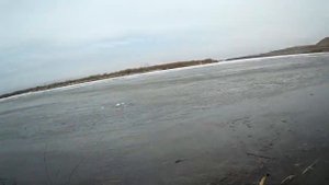 Ловим малька ......