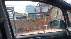 Микроавтобус Тойота эсквайр обзор