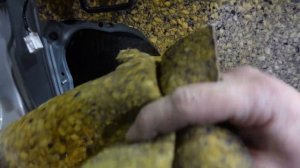 Покрасили в Раптор и СГНИЛИ ПОРОГИ! Форд Фокус