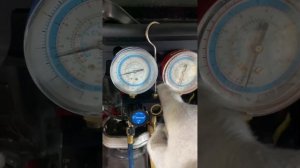 Заправляем кондиционер на Скании