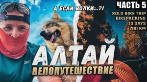 Одиночное велопутешествие по горному Алтаю. У Михалыча / Красные Ворота/ Ночевка в лесу