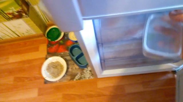 Заморозить белокрылку невозможно?!
