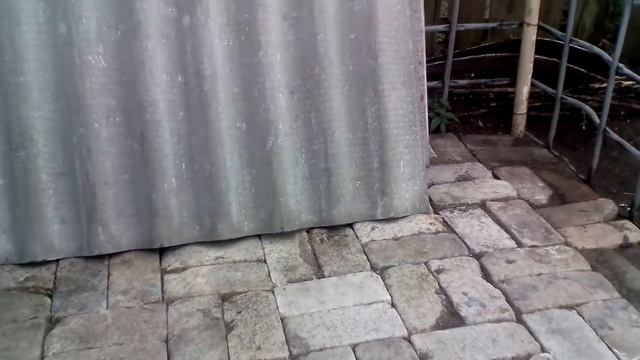 Постройка нового домика для нутрий. смотреть онлайн