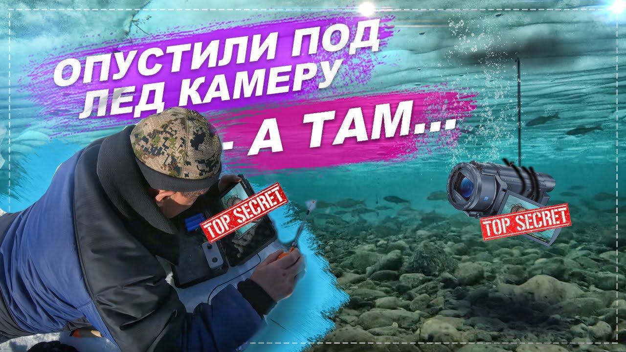Опустили камеру в лунку и ох..ли!! Река Абакан- закрытая для рыбалки!!! смотреть онлайн