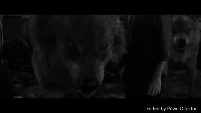 Twilight Wolves - The World Is Unraveling
