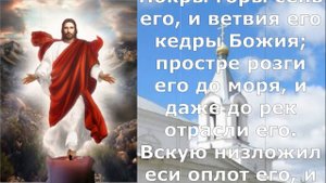 СИЛЬНАЯ МОЛИТВА О ЗДРАВИИ. Молитва Господу о здравии. Псалом 79