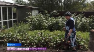 В Ингушетии назвали победителей конкурса на лучшее подсобное хозяйство