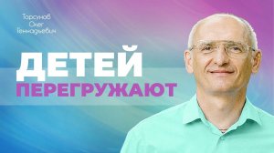 Недостатки современной системы образования (Торсунов О. Г.)