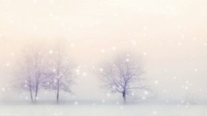 Футаж. Зимний пейзаж 35