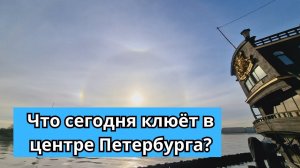 #70 #спиннинг Что клевало в центре Петербурга 15 апреля?