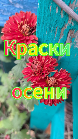 Краски осени.