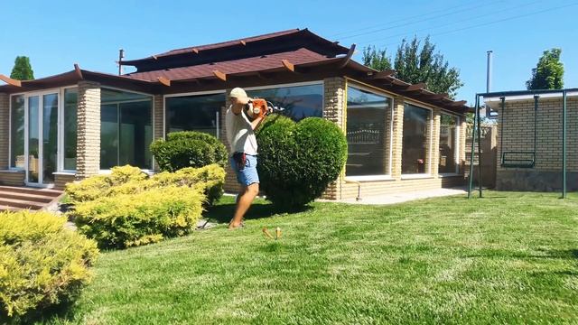 #topiary #стрижкатуи #топиарнаястрижкахвойных #обрезкахвойныхрастений #хочуврек