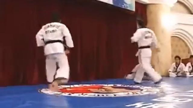 Demo team The Korea Hapkido Federation смотреть онлайн