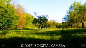 Olympus SZ-11,April  21, 2012 .wmv