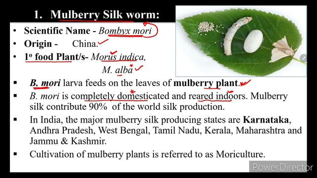 Sericulture | Sericulture History | Classification of silk worm | Life cycle of Bombyx mori