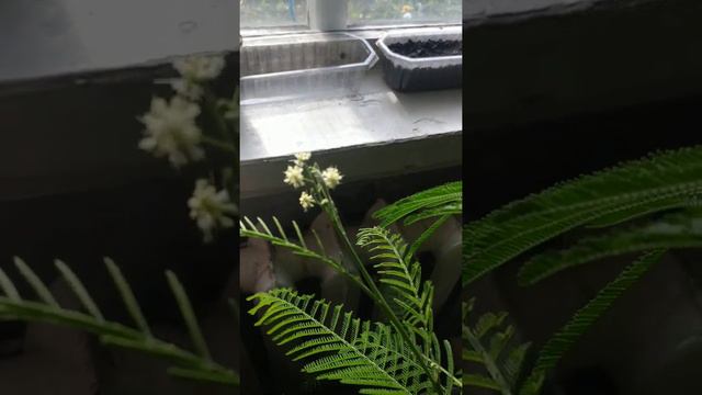 VID 20200926 145207 смотреть онлайн