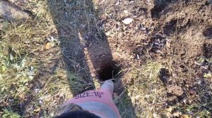 Буронабивные сваи для веранды