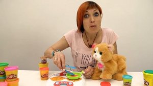 КОТИКИ, Маша Капуки и Плей До - Кошачье кафе Поехали Посмотрим! Развивающее видео для детей