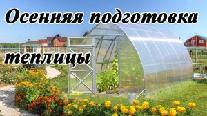 Почему осенняя подготовка теплицы эффективнее? Как ее сделать?