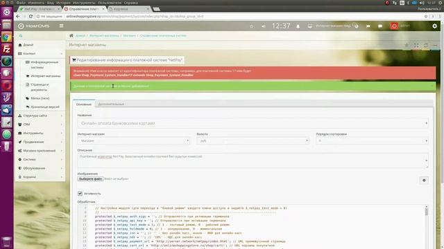Интеграция платежного модуля на CMS Host CMS смотреть онлайн