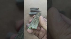 Белемниты. Древние кальмары. Окаменелости. Хобби, коллекционирование.