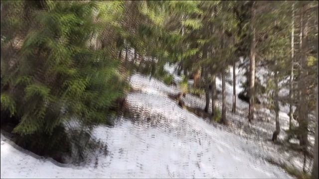 Поход в Карпатах, Горганы. Девушки в походе. 4 водопада смотреть онлайн