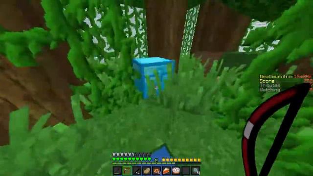 Голодные игры #1 Почти победил :D