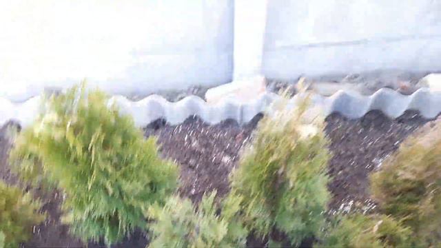 3 марта 2024 г. Земля, как пух! Тепло, солнечно, работа кипит смотреть онлайн