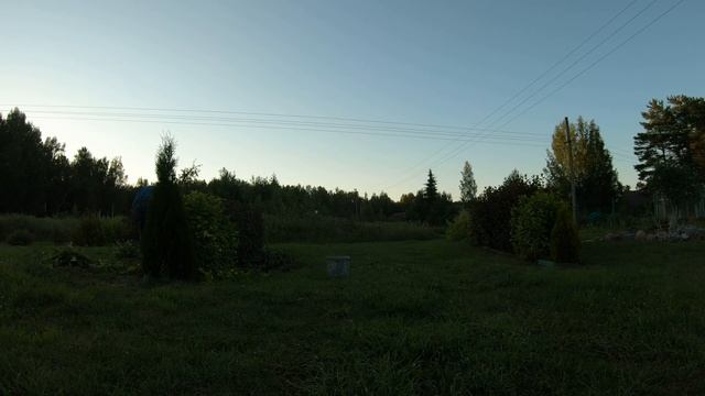 Живая изгородь. Живая изгородь своими руками.