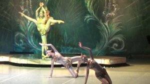 Восточный танец. Чайковский. Щелкунчик. Геннадий Ледях |East Dance . Chaikovsky. Nutcracker