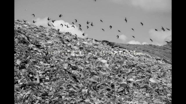 Видеоролик на тему: "Где родился,там и пригодился" смотреть онлайн