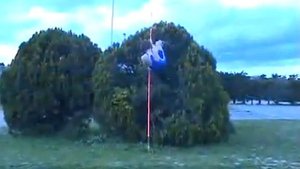 Олимпиада (Реми Гайяр) DECATHLON