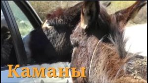 Трижды Святое место Каманы в Абхазии. Город призрак, развалины села Kamani.