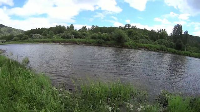 белокуриха 2 проезд на песчаную ловля хариуса