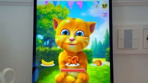 Сеня Хочет в Путешествие