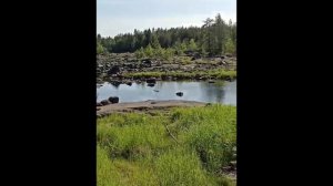 отдых на Петроглифов