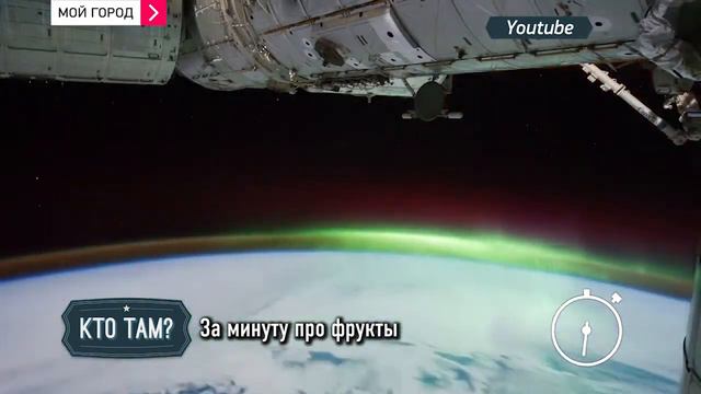 За минуту про фрукты смотреть онлайн