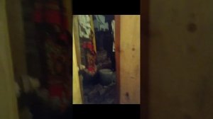 ночь в сугробе