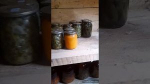 Ира шьёт//тренировка//что в подвалах?//гуляем пешком//(1 год назад)