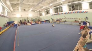 Спортивная гимнастика. Третий юношеский разряд у мальчиков. Второе место!