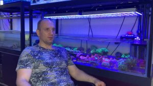 «Рифовый Аквариум» Кормление Рыб. Часть 26